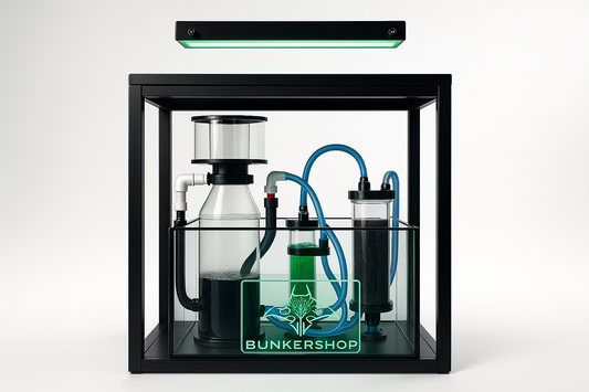 Custom Acrylic Reactor